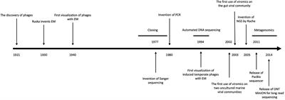 The Human Gut Phageome: Origins and Roles in the Human Gut Microbiome